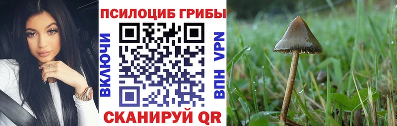Псилоцибиновые грибы Psilocybe  Купить где  Коломна 